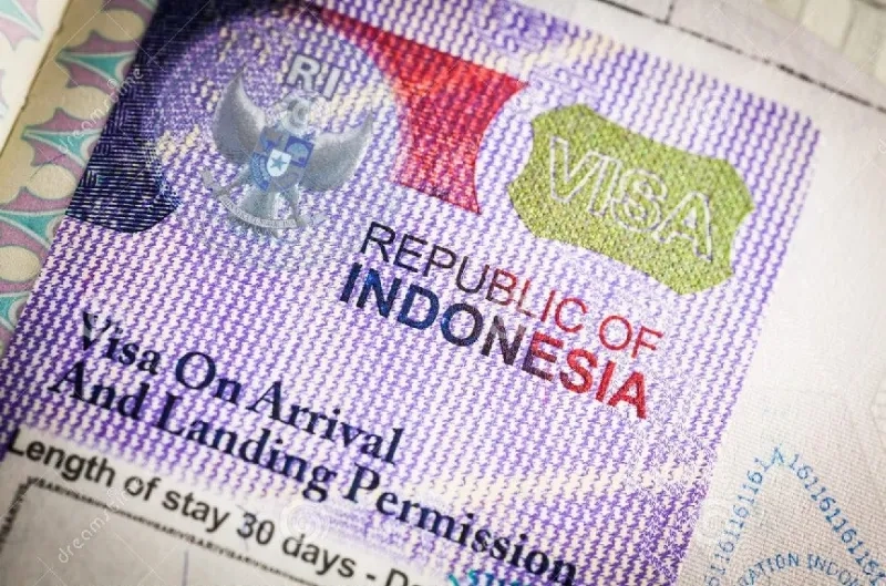 Kriteria Visa dengan Alasan Kemanusiaan Serta Prosedur Pengajuannya